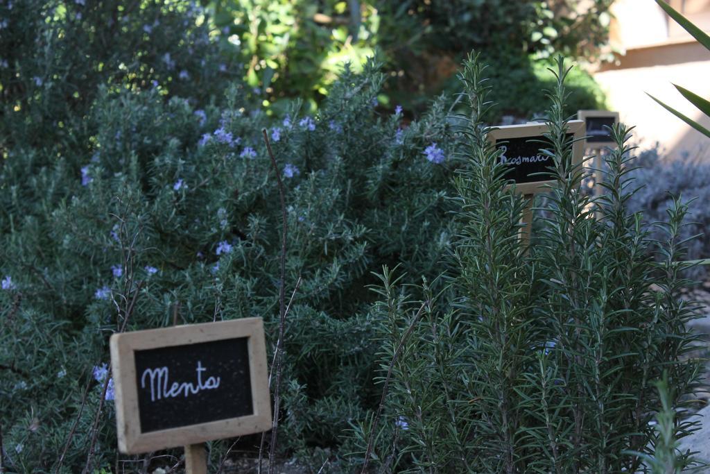 Bed and Breakfast La Caladina Mougins Esterno foto